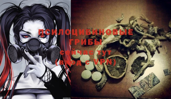 хмурый Абдулино