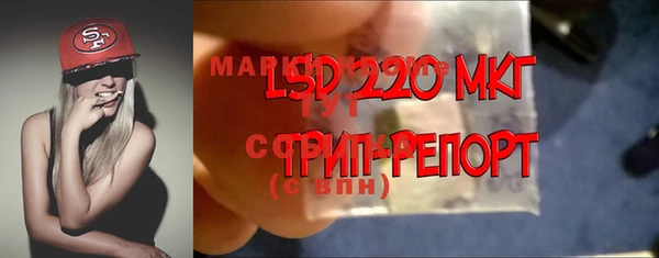 твердый Абаза