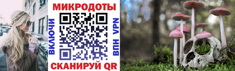 Галлюциногенные грибы ЛСД  Костомукша 